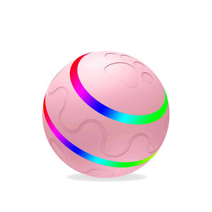 🐱🐶Intelligenter Haustierball