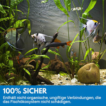 Laden Sie das Bild in den Galerie-Viewer, Reinigungspulver Für Aquarium
